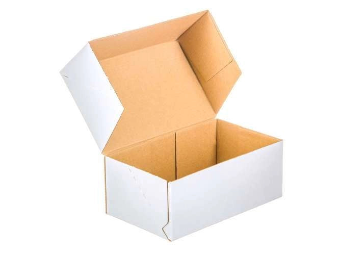 Kartonnen dozen 250x150x60mm enkelgolf E 370g/m2 Wit