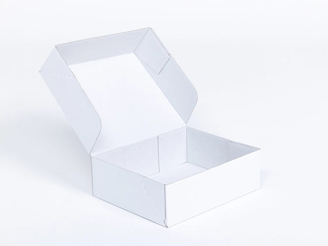 Kartonnen dozen 250x200x80mm enkelgolf E 420g/m2 Wit-Wit
