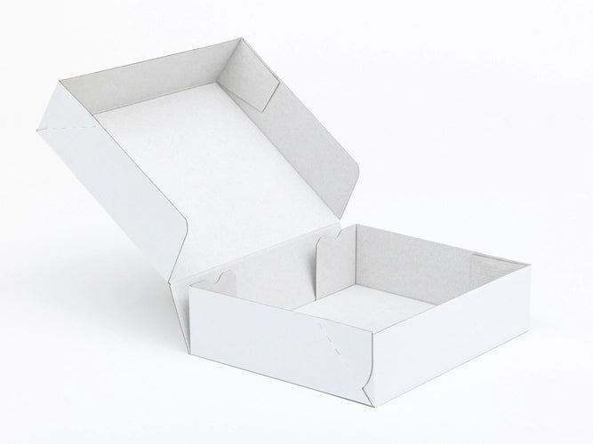 Kartonnen dozen 300x250x80mm enkelgolf E 420g/m2 Wit-Wit