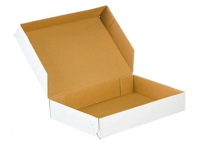 Kartonnen dozen 400x300x100mm enkelgolf E 350g/m2 Wit