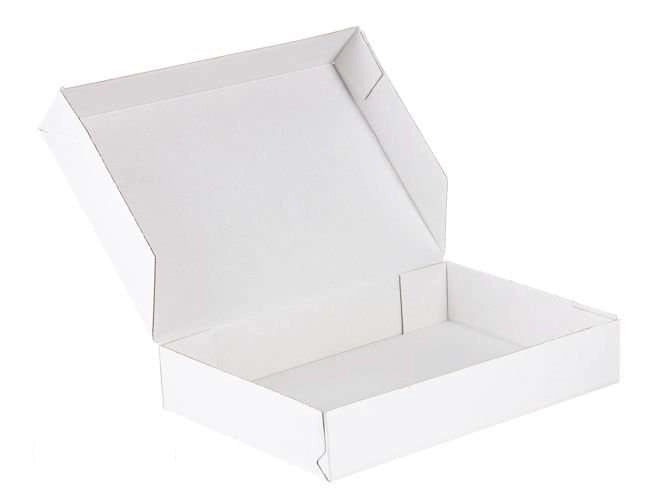 Kartonnen dozen 400x300x100mm enkelgolf E 420g/m2 Wit-Wit