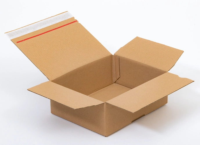 Kartonnen dozen met plakstrip en afscheurstrook 250x200x100mm enkelgolf B 320g/m2 bruin