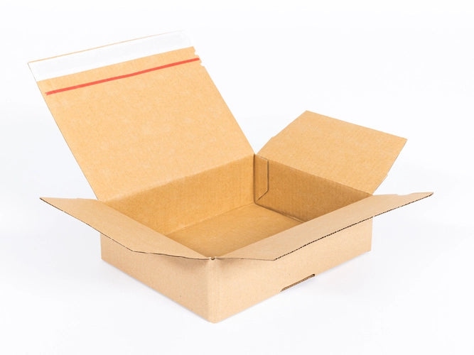 Kartonnen dozen met plakstrip en afscheurstrip 250x200x80mm enkelgolf B 320g/m2 bruin