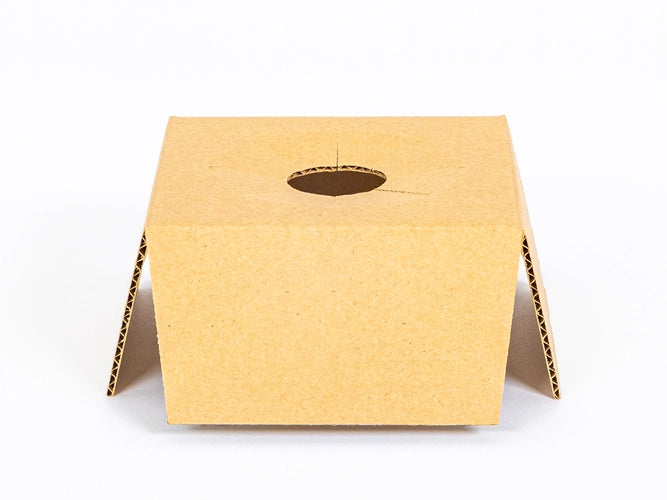 Inleg voor karton voor kleine planten fi 100mm 145x145x76mm enkelgolf B 380 g/m² Bruin 10 stuks