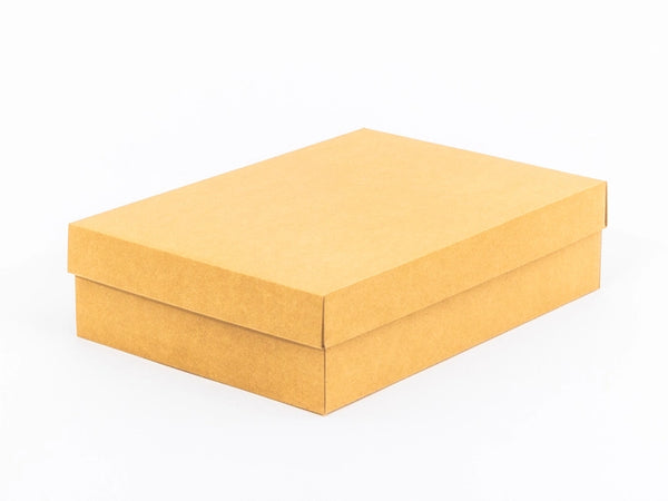 Bruin doos met deksel 350x250x90mm enkelgolf E 390 g/m² 10 stuks