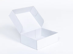 Kartonnen dozen 250x200x80mm enkelgolf E 420g/m2 Wit-Wit