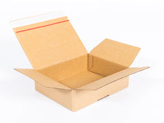 Kartonnen dozen met plakstrip en afscheurstrip 250x200x80mm enkelgolf B 320g/m2 bruin
