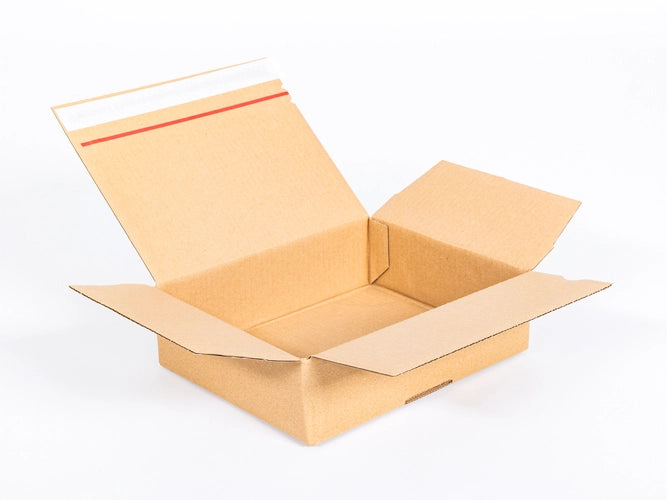 Verzenddoos met plak- en scheurstrip 250x200x80mm enkelgolf B 380 g/m² Bruin 20 stuks