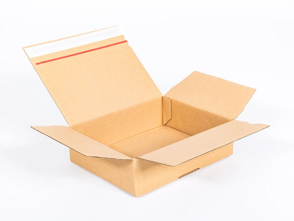Verzenddoos met plak- en scheurstrip 250x200x80mm enkelgolf B 380 g/m² Bruin 20 stuks