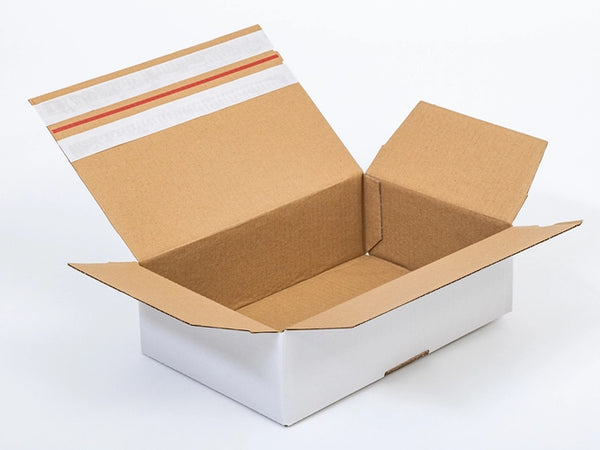 Kartonnen dozen met plakstrip en afscheurstrook 300x200x100mm enkelgolf B 360g/m2 Wit