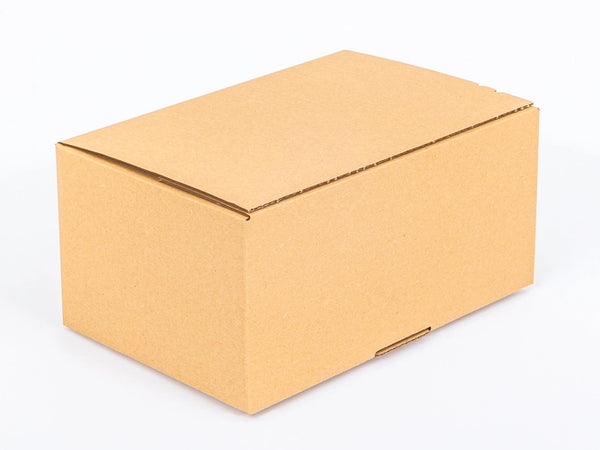 Verzenddoos met plak- en scheurstrip 300x200x150mm enkelgolf B 320 g/m² Bruin 20 stuks