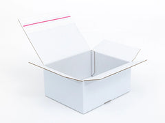 Kartonnen dozen met plakstrip en afscheurstrook 300x250x150mm enkelgolf B 440g/m2 Wit-Wit