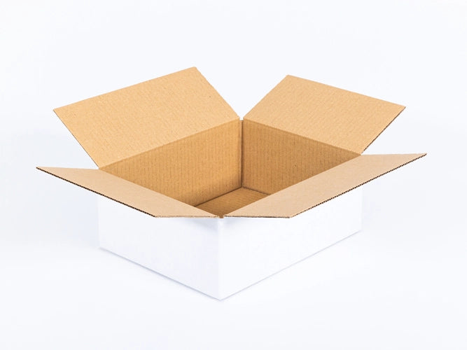 Kartonnen dozen 250x200x100mm enkelgolf B 360g/m2 Wit