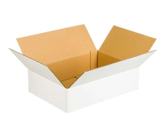 Kartonnen dozen 300x250x80mm enkelgolf B 360g/m2 Wit