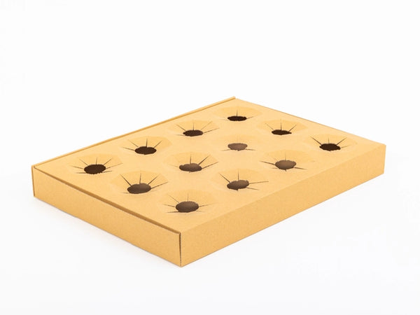 Kartonnen schaaltje voor stekken en potten met gaten 80mm 410x310x45 mm enkelgolf E 380 g/m² Bruin 10 stuks