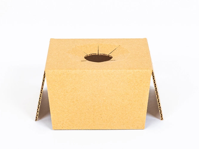 Inleg voor karton voor kleine planten fi 90mm 145x145x81mm enkelgolf B 380 g/m² Bruin 10 stuks